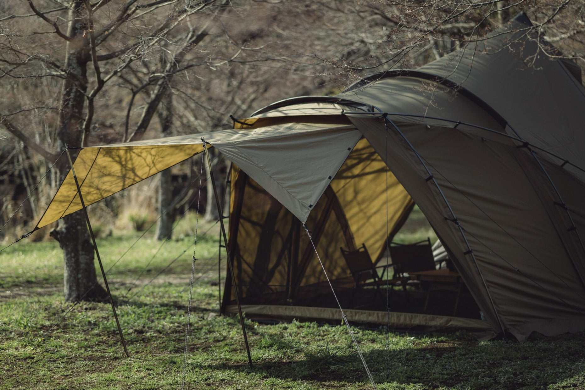 LOLO | PRODUCTS | ZANE ARTS