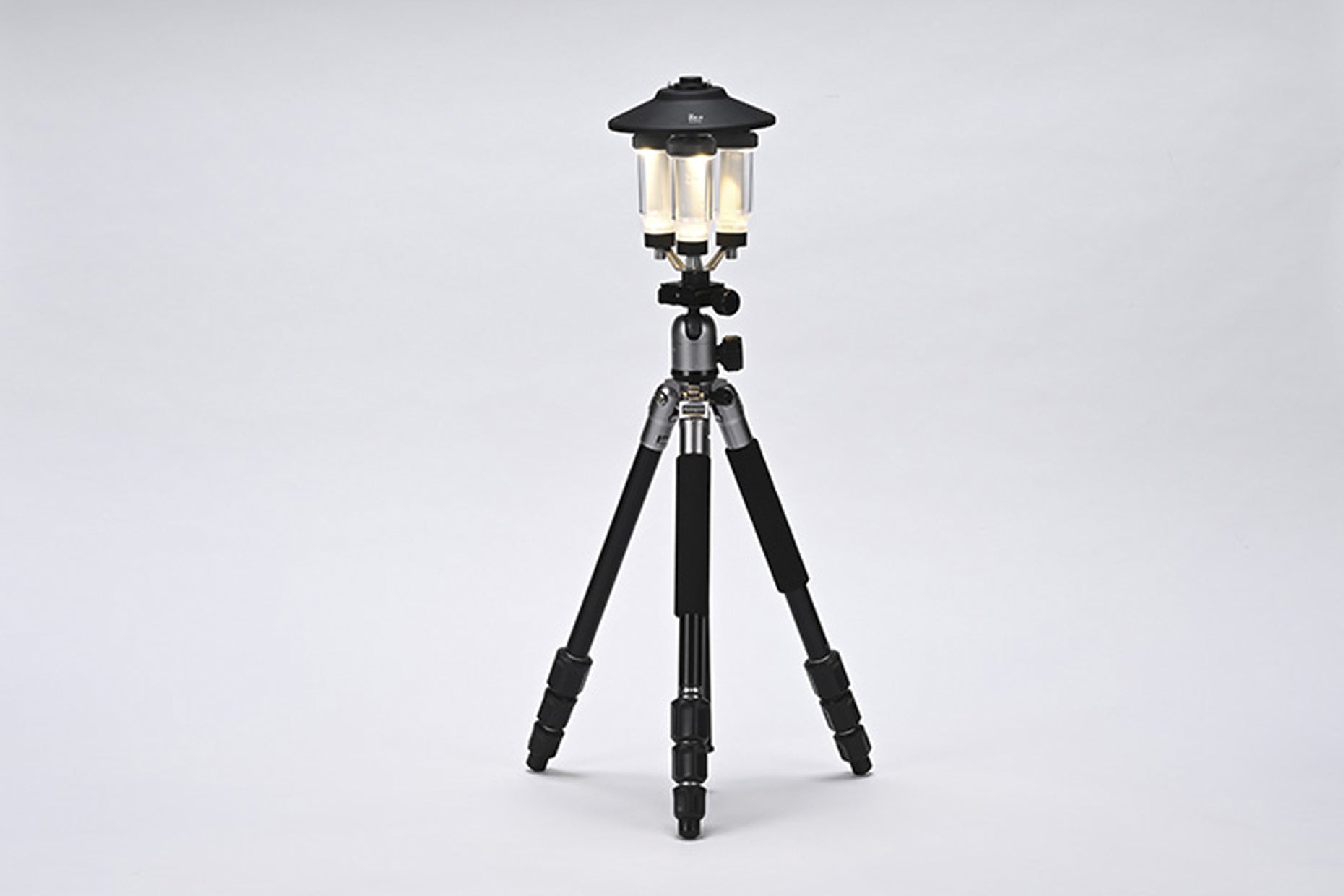 ZIG HOUSE | PRODUCTS | ZANE ARTS