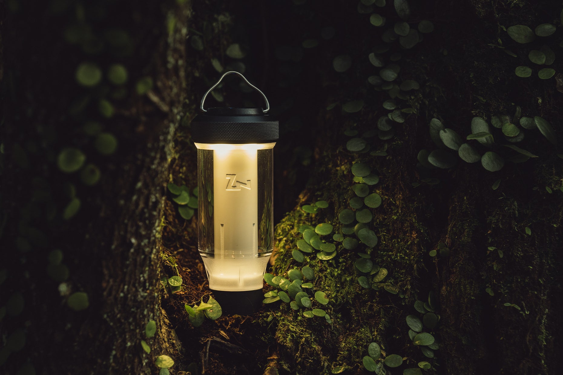 e5e236137303--img-landscape-06