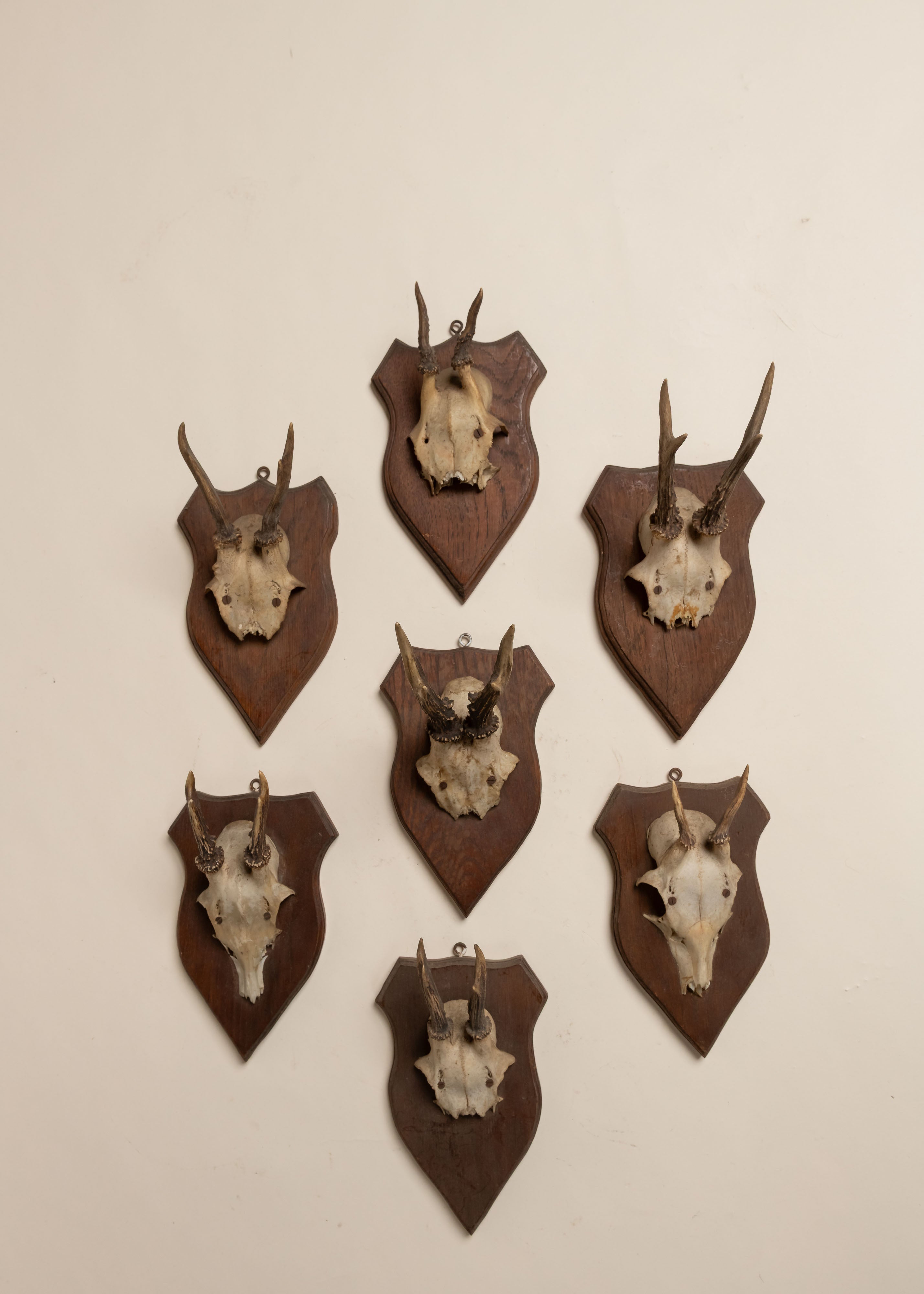 Antique Black Forest Antler Trophy, 20th C | Ken Fulk