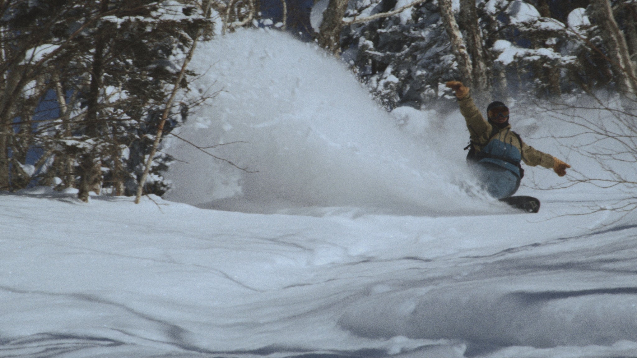 EZO | FLUX ONLINE STORE