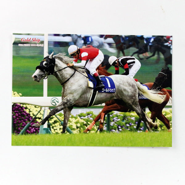 革頭絡キーホルダー ゴールドシップ - 競馬グッズの通販サイト