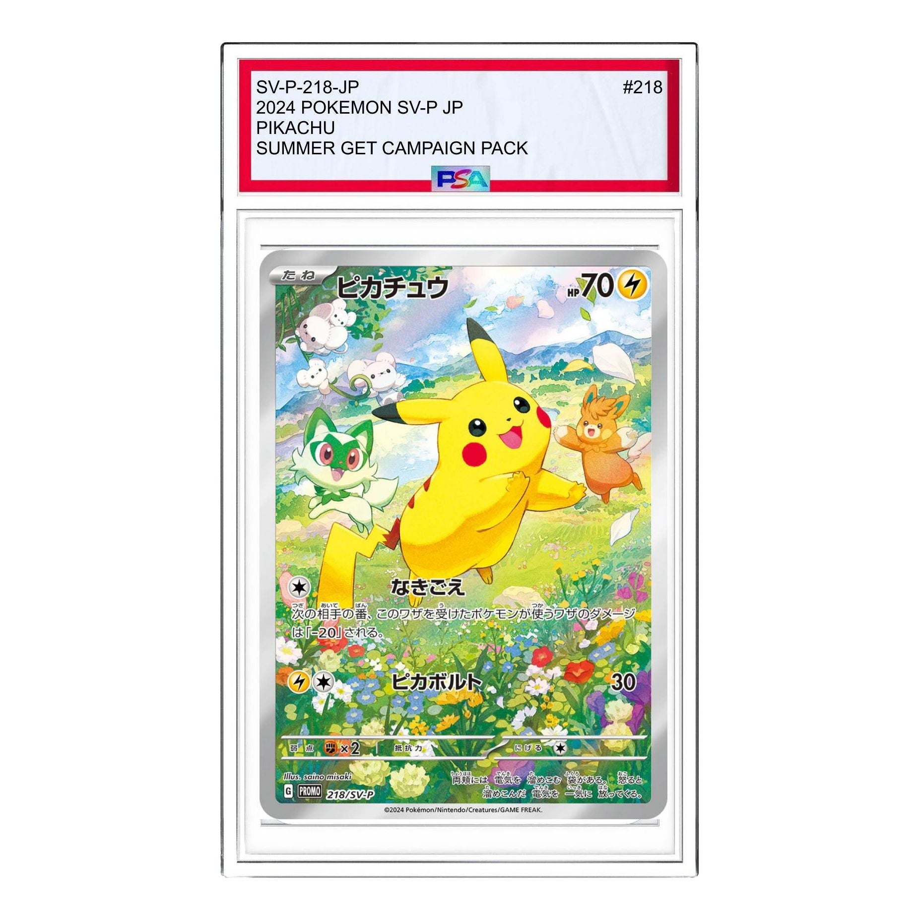 Pokemon Pokemon Card Summer is Here! Get a Promo Card Campaign