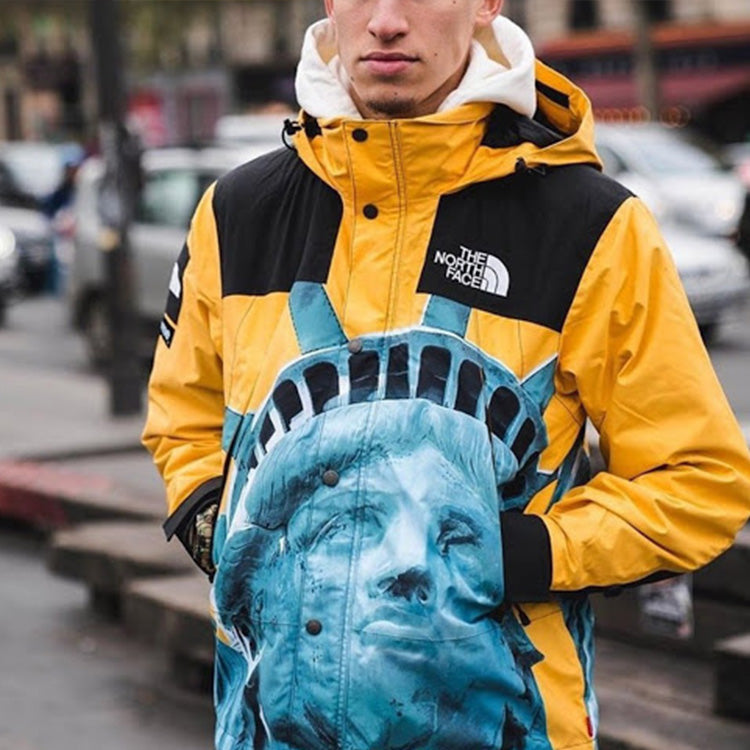 Supreme x The North Face Crossover Statue of Liberty waterproof
