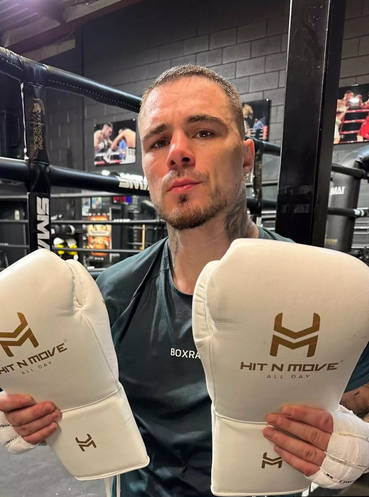 All Day Pro Balance 16 oz Boxing Gloves | HIT N MOVE