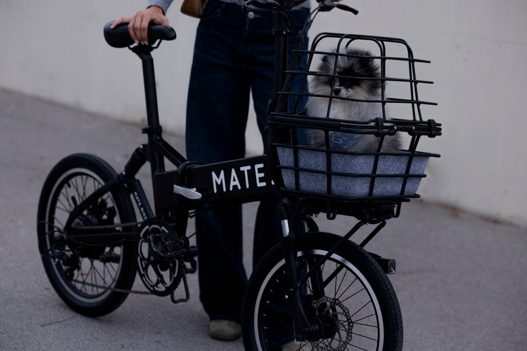 RESTOCK｜MATE. BASE BASKET & MATE. FRONT RACK – MATE.BIKE JAPAN