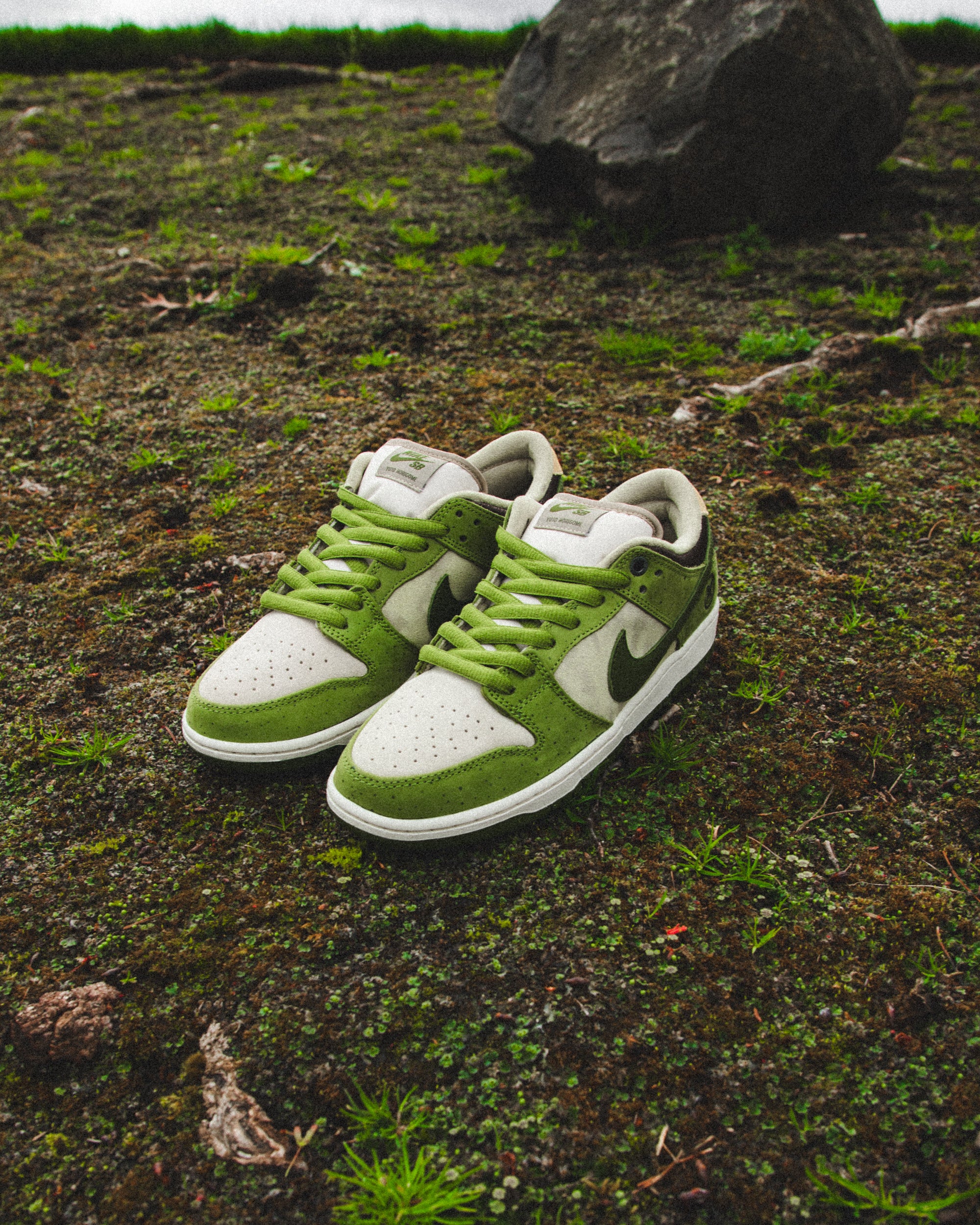 NIKE SB DUNK LOW QS 