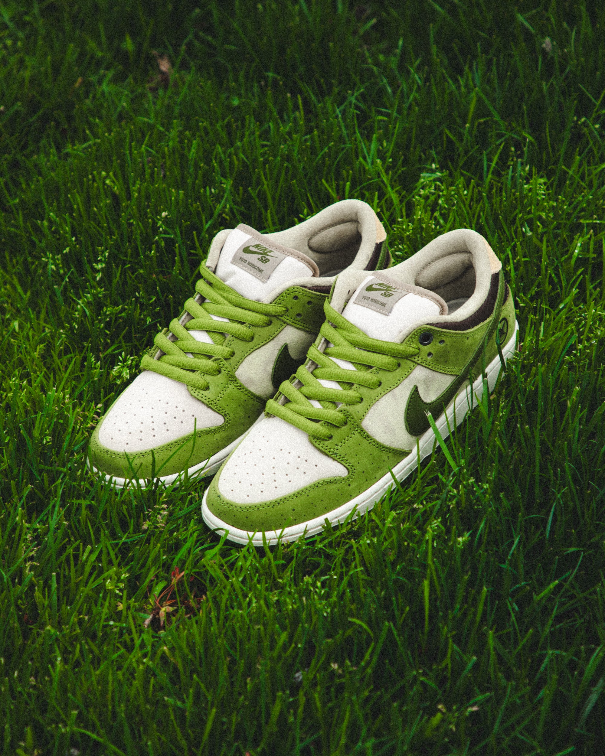 NIKE SB DUNK LOW QS 