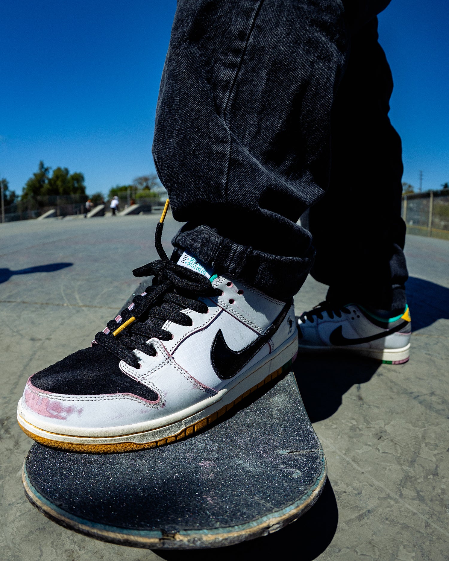 ナイキ スケートボーディング | NIKE SB DUNK LOW PRO QS 