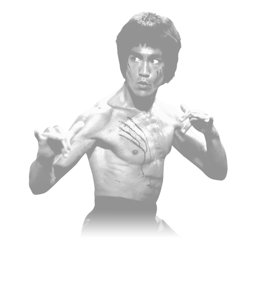 Bruce Lee Edition] ES1 eSports Mousepad XL – Pulsar Gaming Gears Japan