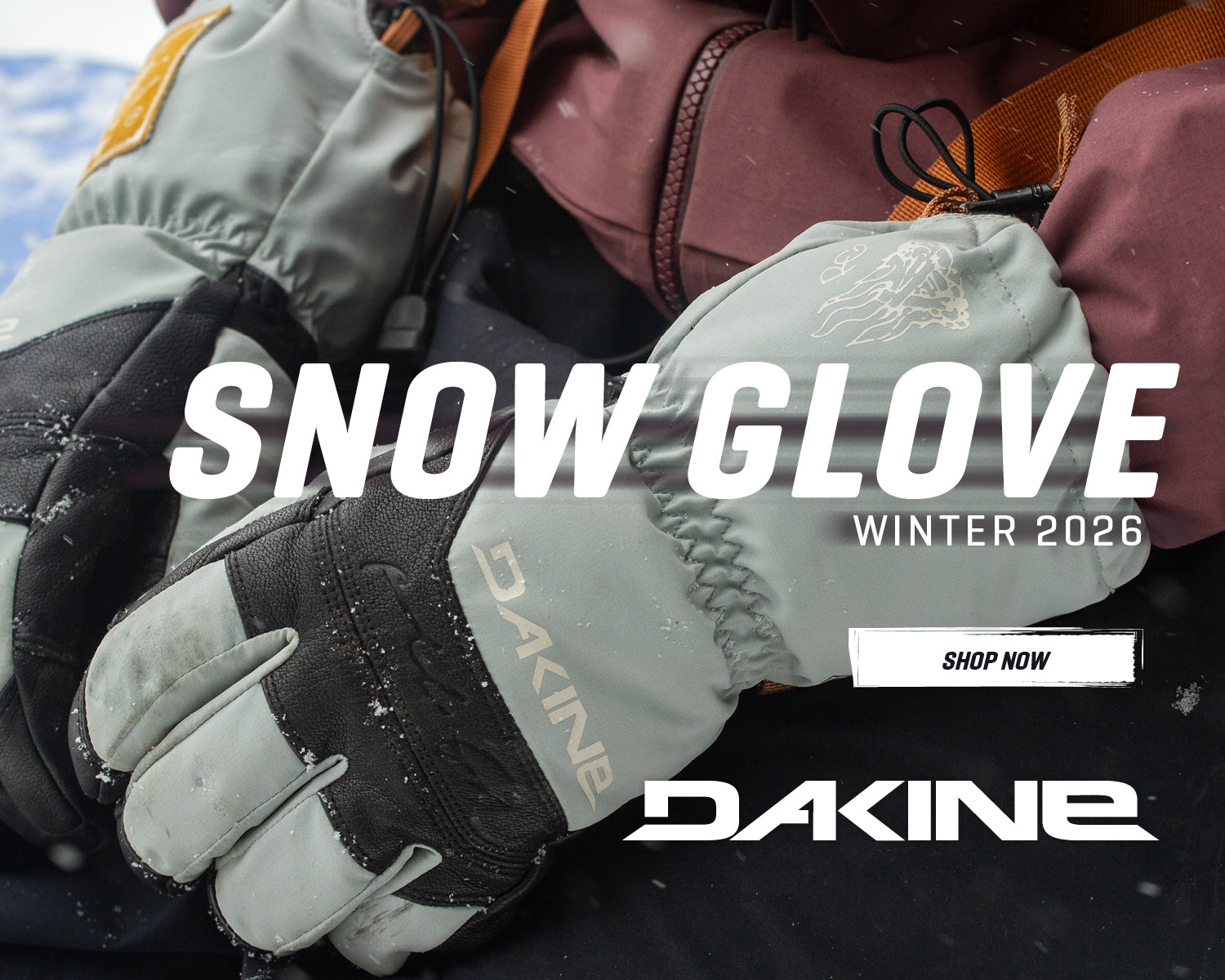 DAKINE スノーグローブ - DAKINE