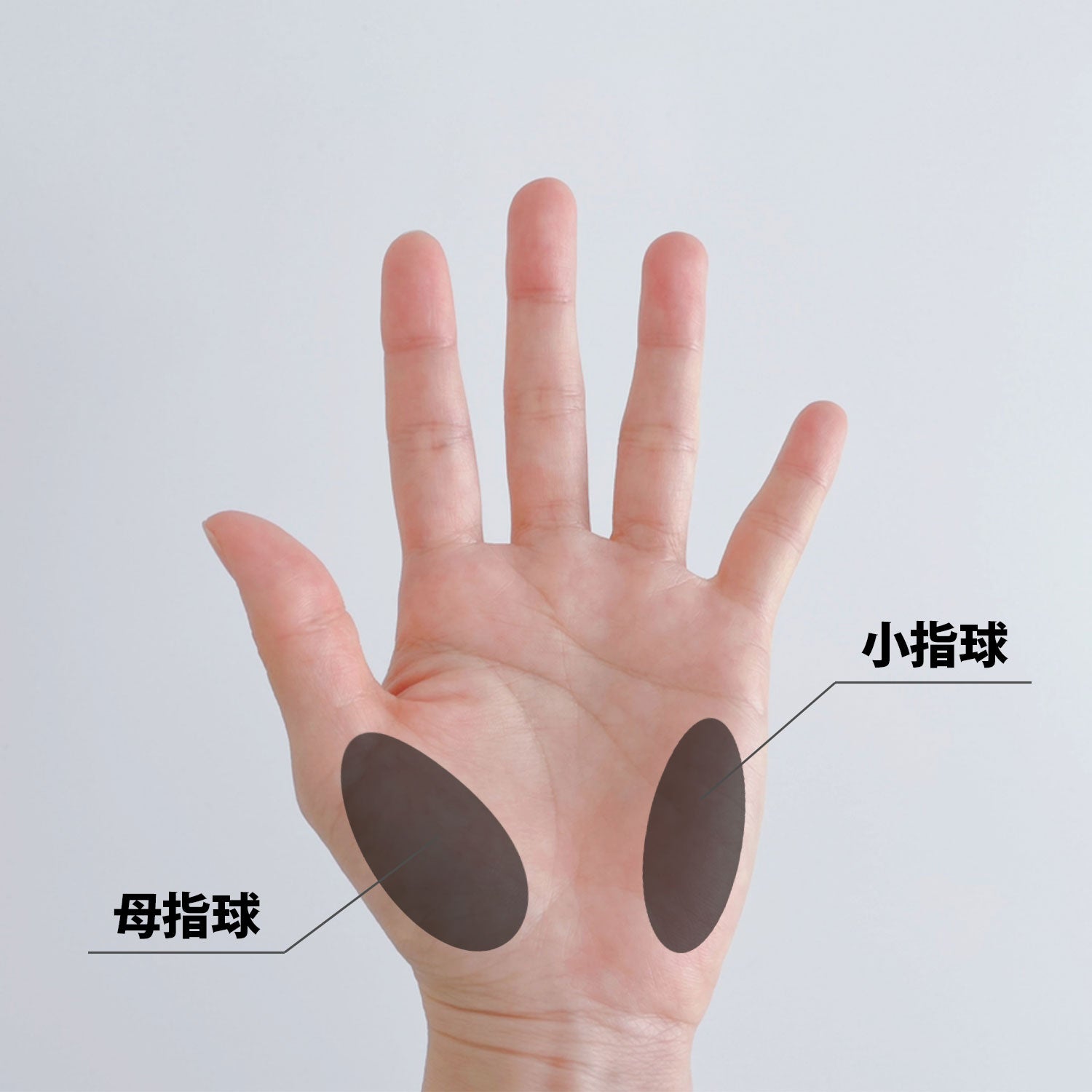 QOM Power Gear 1セット(2個入り) | QOMGYM – QOMGYM online store