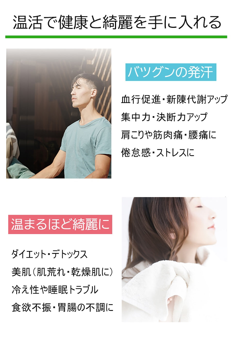 送料無料】【メーカー直送】ノイフルス NH-001 ホームサウナ SPA