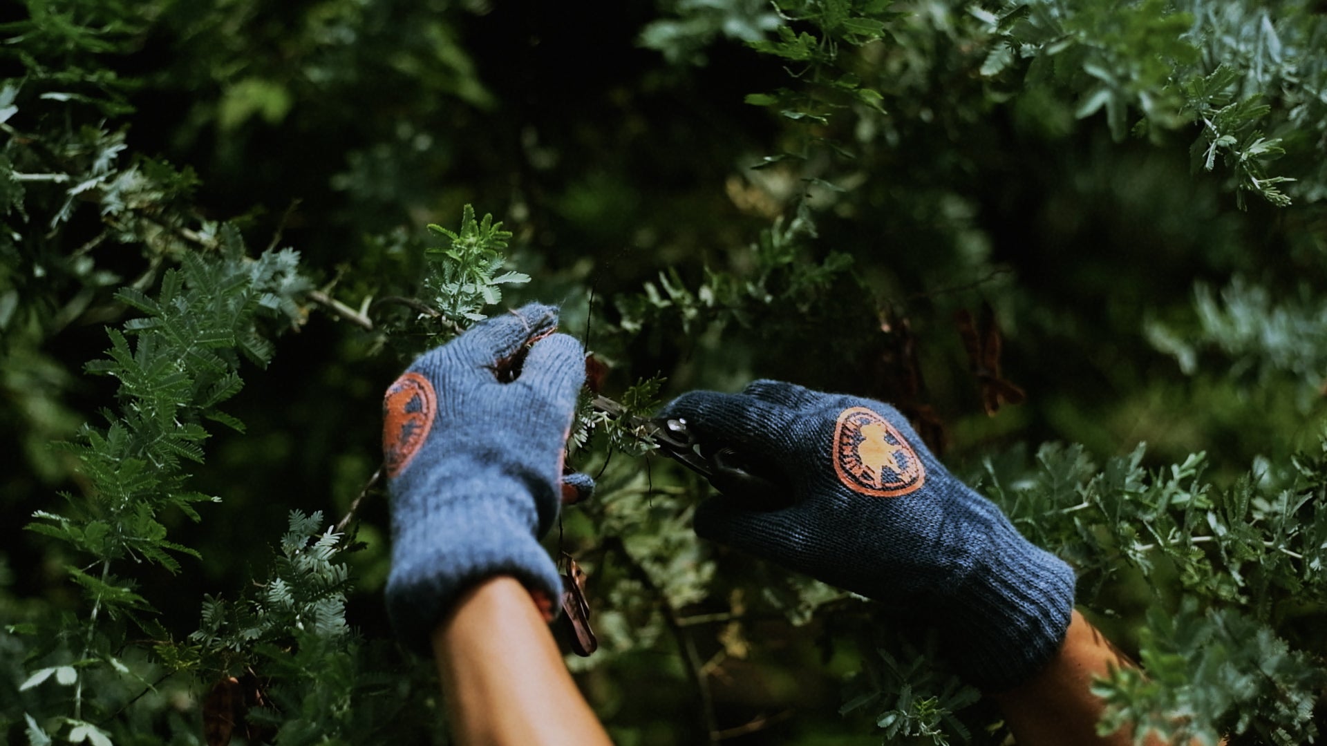 グリーンタグ × ソルソコラボレートアイテム – HUNTING WORLD ONLINE STORE