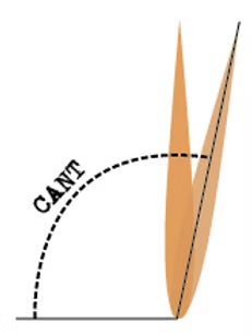 チッパ・ウィルソン スライディー ボーイズ サイドフィン シングルタブ