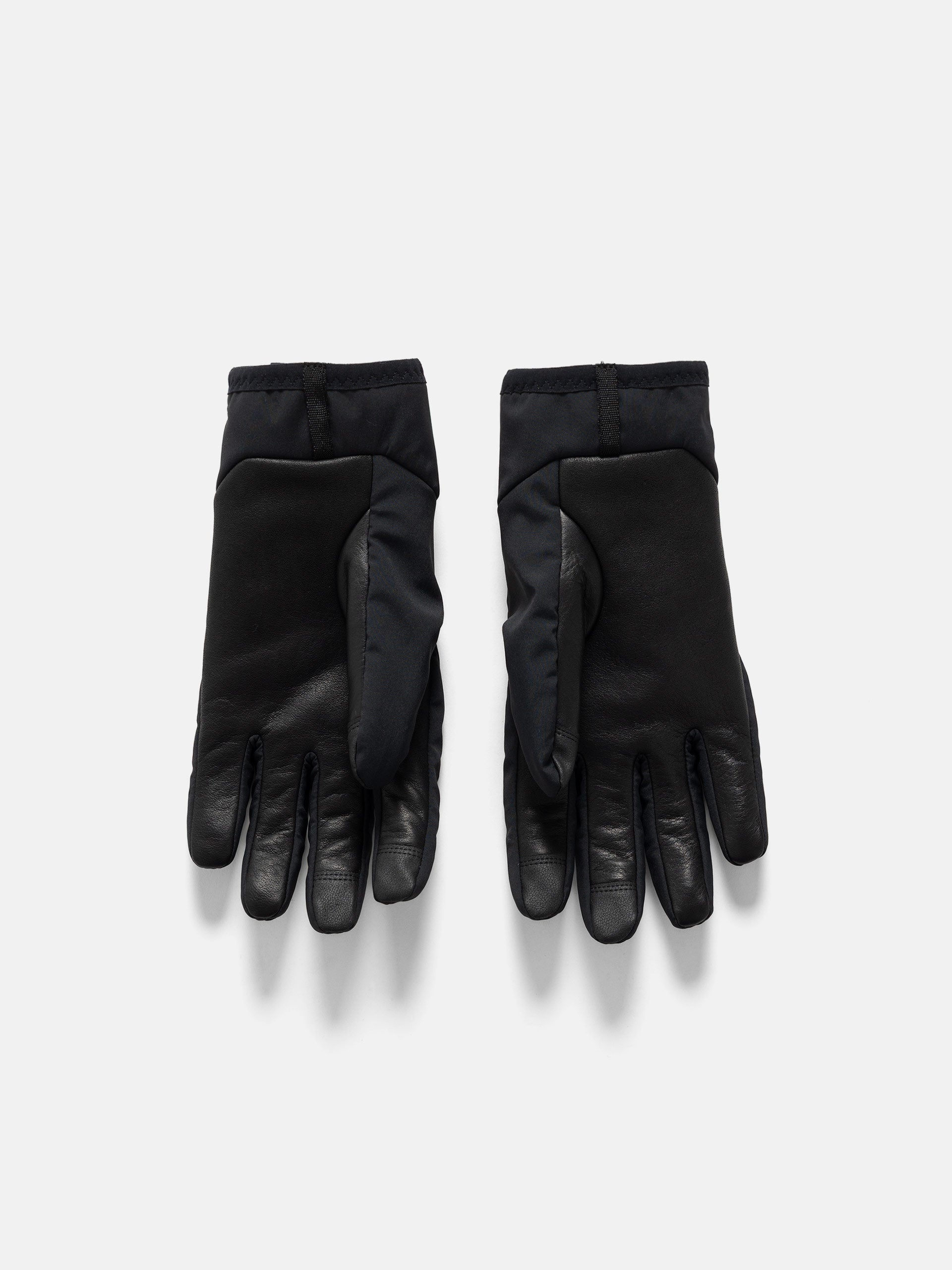 AURALEE Calf Leather Gloves Black | HAVEN