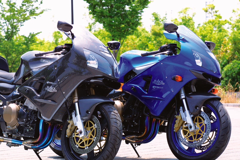 Kawasaki Ninja ZX-12R (2000-2006) – ページ 2 – A-TECH Online Shop