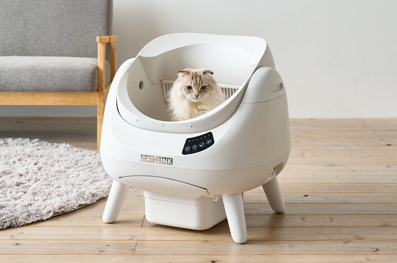 国内累計販売台数台2万台突破のCATLINKシリーズから、待望のオープン