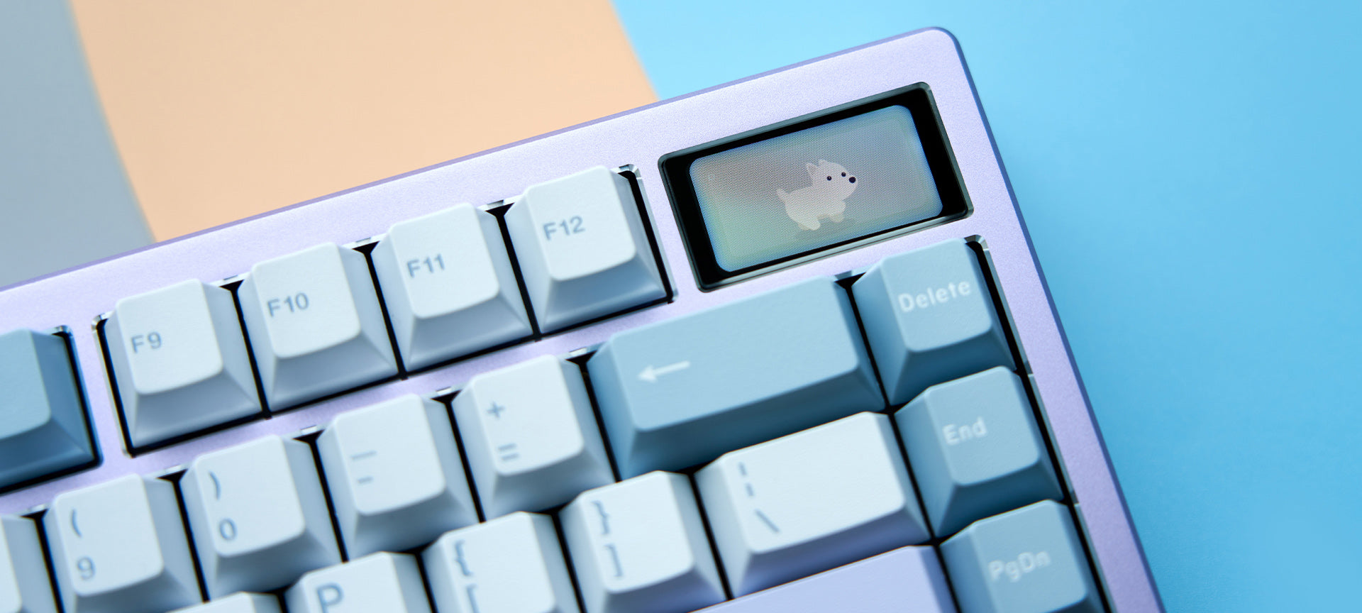 Wuque and Meletrix Product Guide – CannonKeys