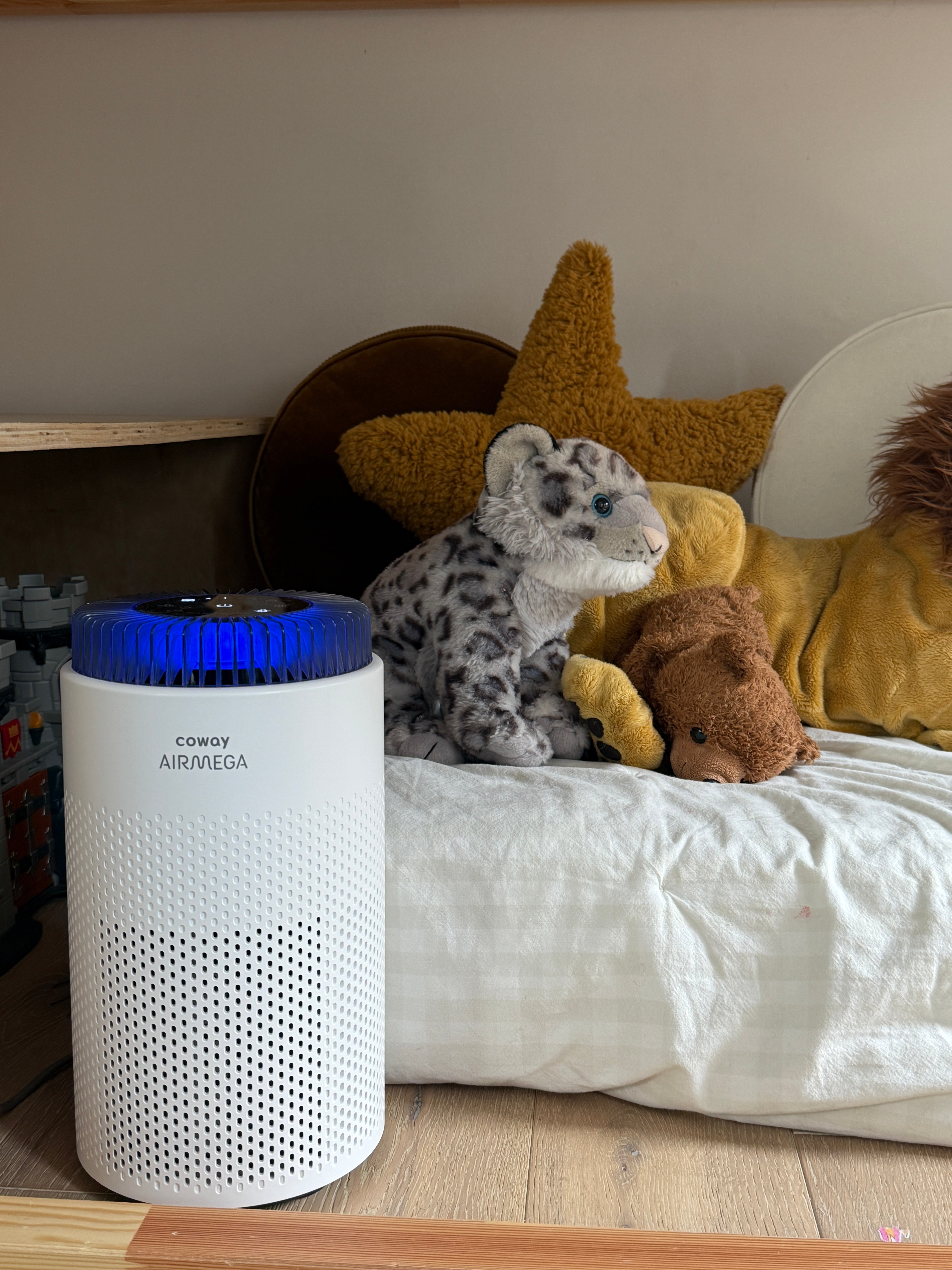 5 Essential Tips for Air Filter Maintenance | Cowaymega