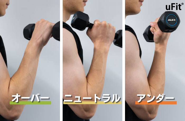 見なきゃ損！リバースカールで効率よくたくましい腕を鍛える方法とは