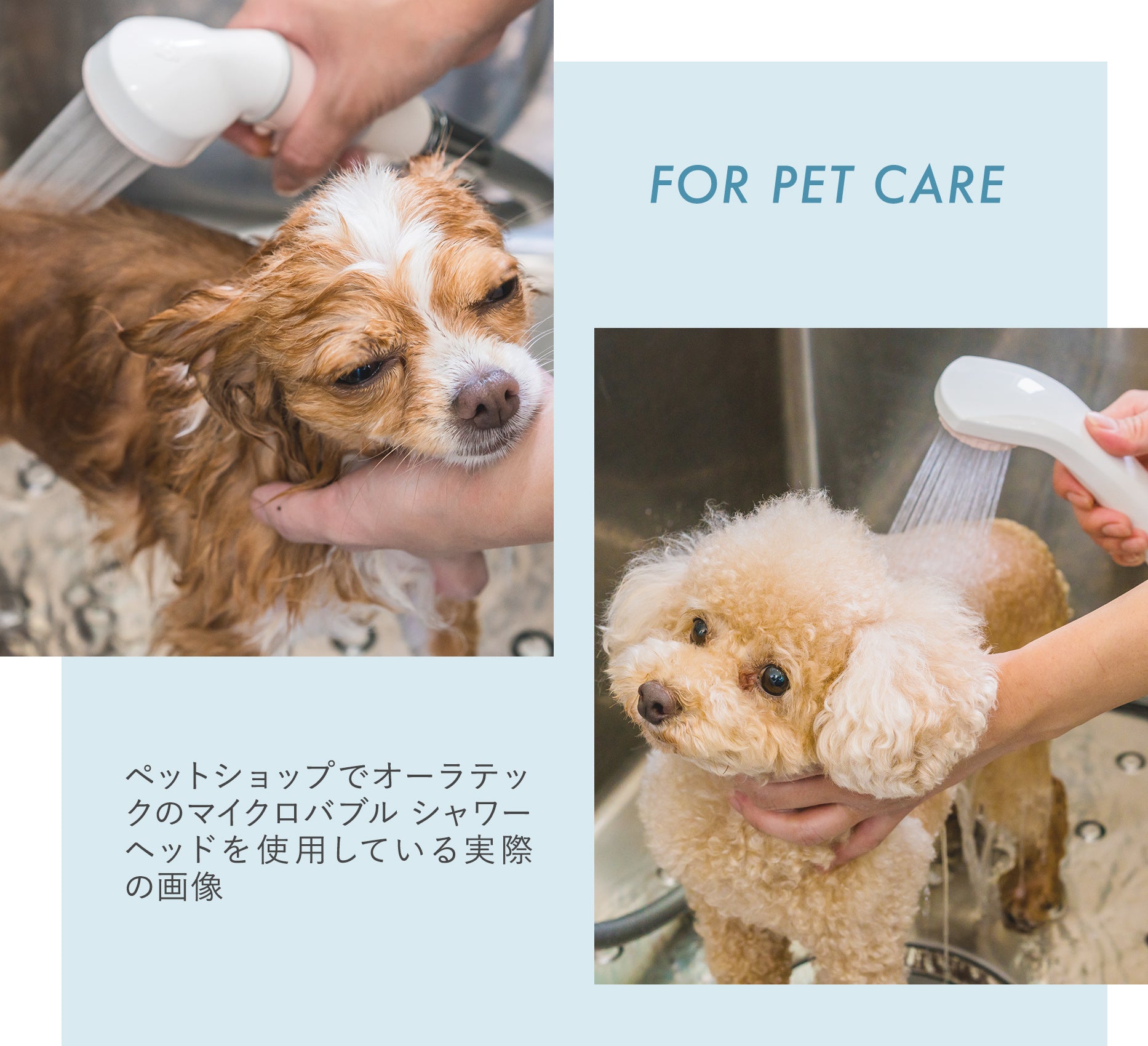 マイクロバブルシャワーヘッド ピュアブルII【正規販売店】 – AQUA beaute