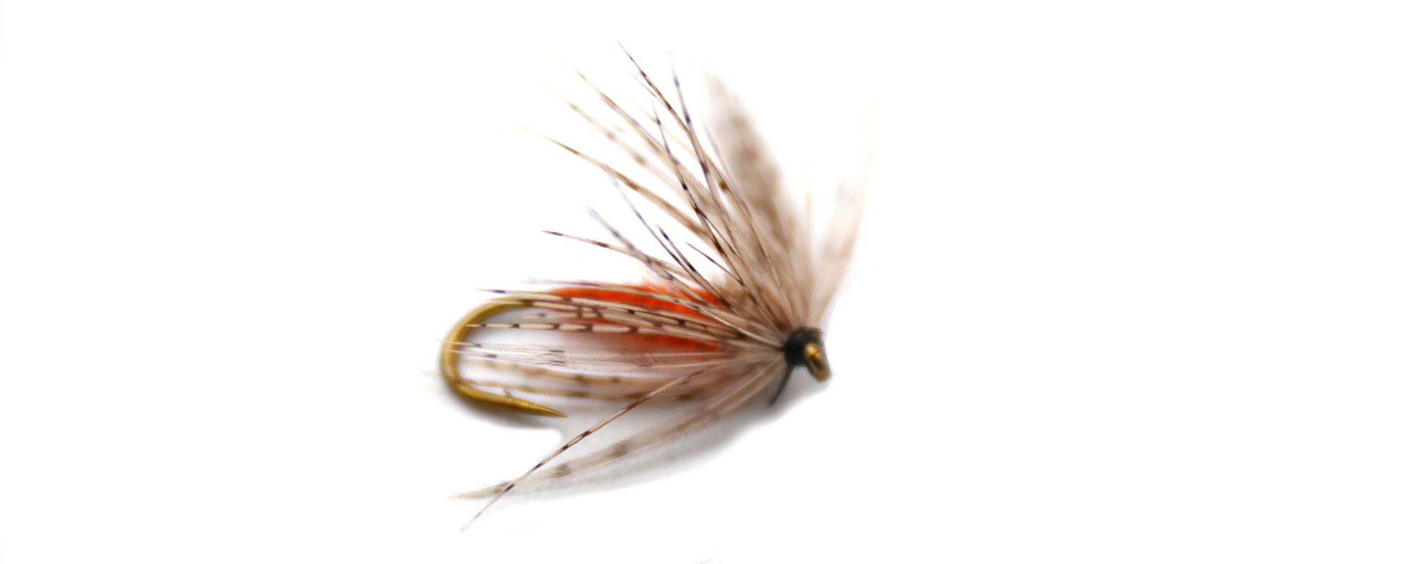 The Top October Caddis Flies for Fall Fly Fishing – ALL POINTS FLY