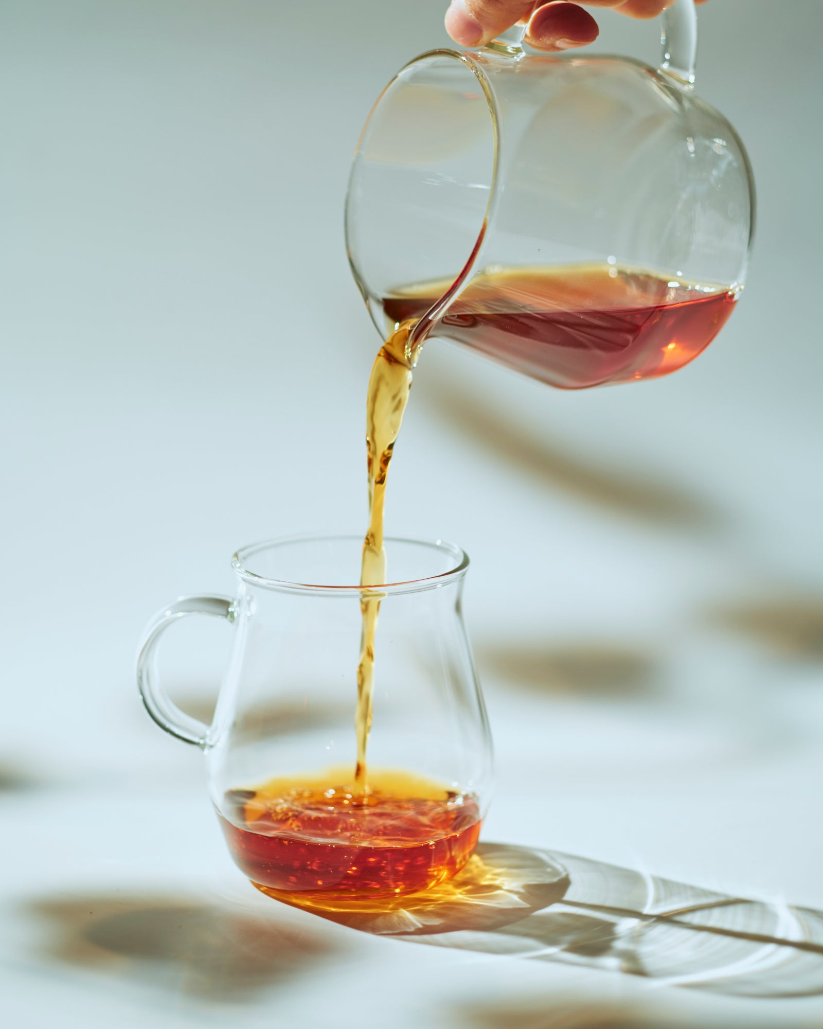 TORCH Pitchii グラス マグ