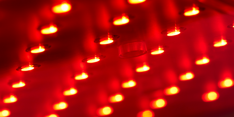 CurrentBody skin LED ハンド パーフェクター | カレントボディ ジャパン