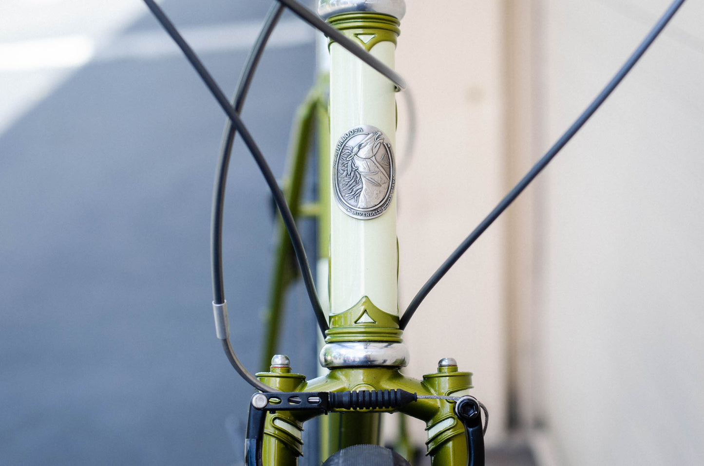 Cadre Rivendell Joe Appaloosa Allroad Tourer Frame - C&L Cycles