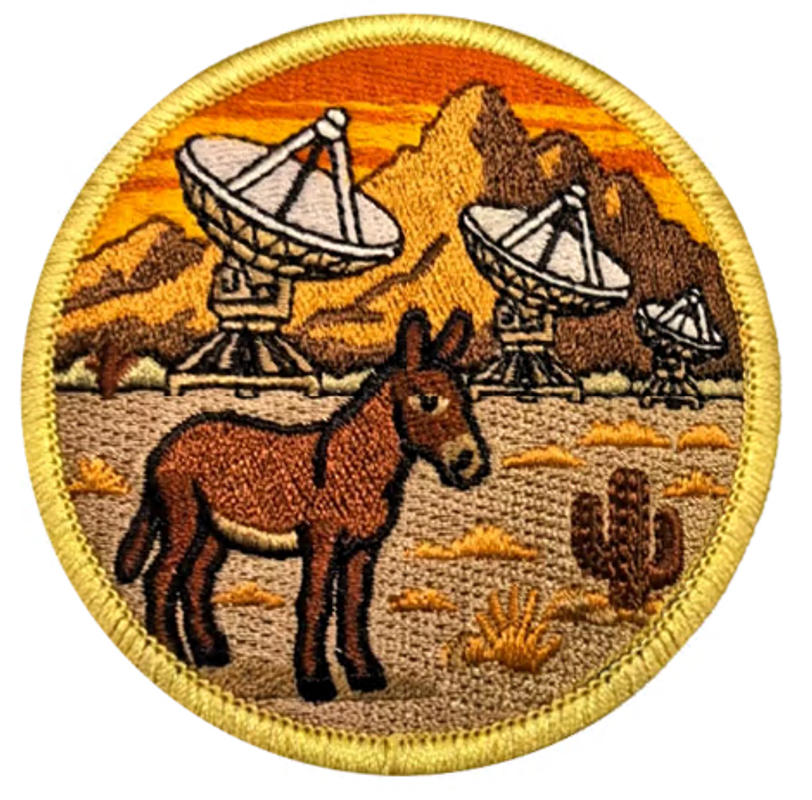 89 AW Samfox Driver Patch | 89th Airlift Wing Patches