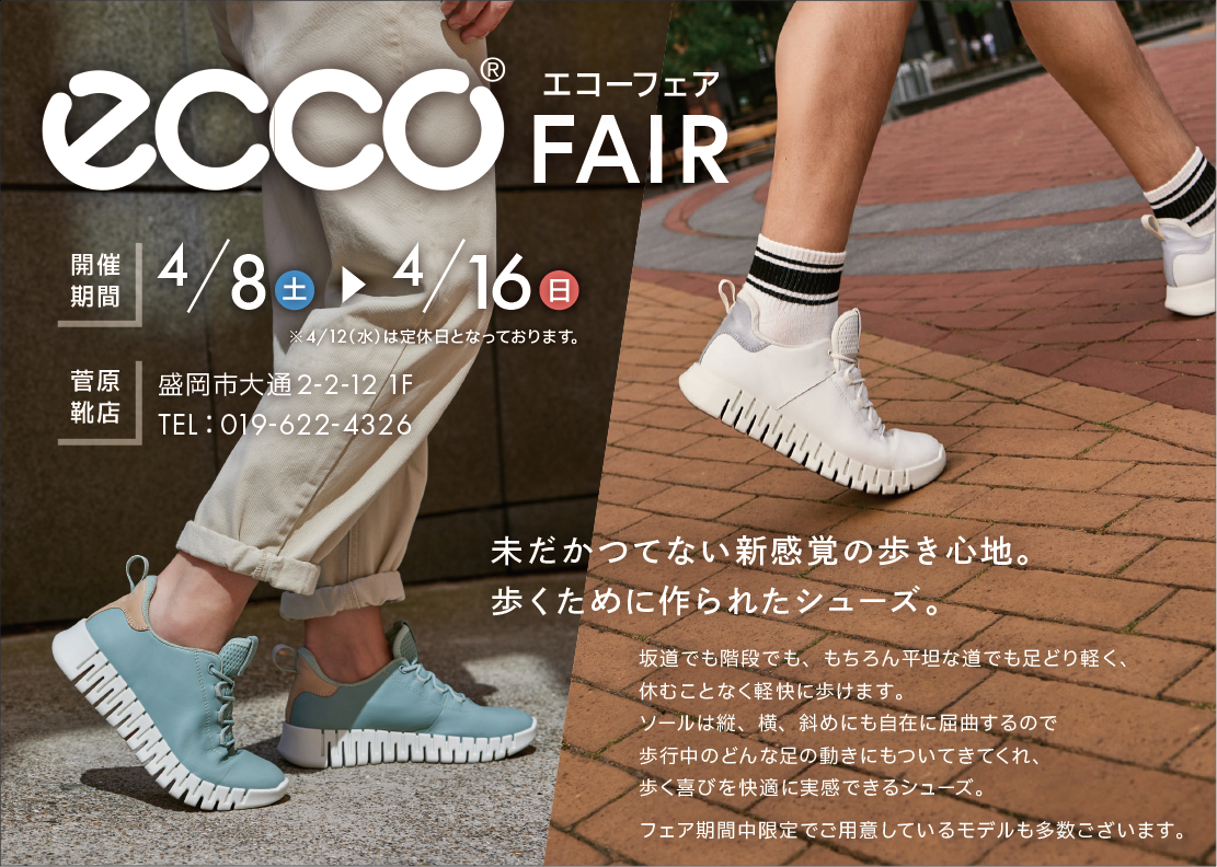ECCO POP UP FAIR開催！｜INFORMATION｜菅原靴店