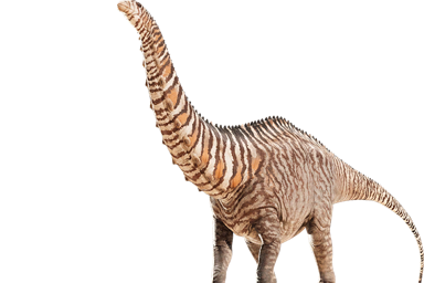 ブロントサウルス excelsus | 動物図鑑 | 先史時代の王国