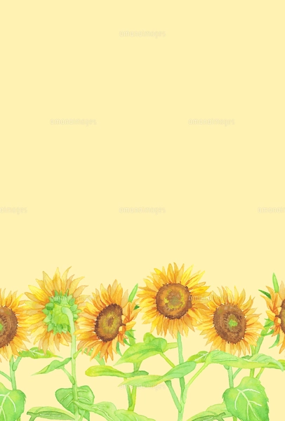 手描き水彩画 ひまわりフレーム 縦のイラスト素材 [FYI05033695