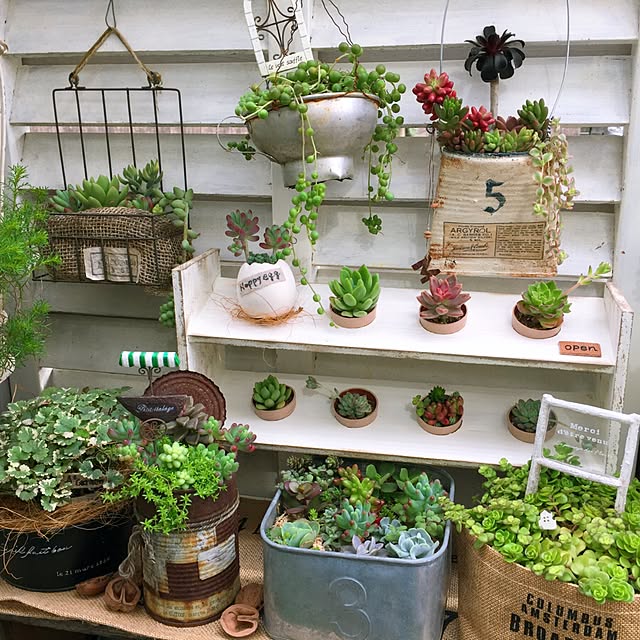 かごつき】男前インテリア 棚 ×2台 植物 多肉 インダストリアル 1123