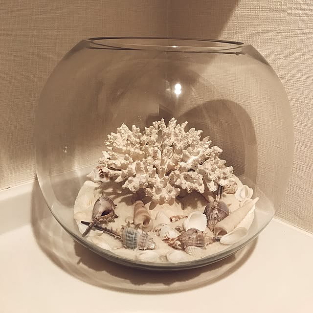 珊瑚 置物 サンゴ さんご 楽天市場】白珊瑚 置物｜珊瑚 fossil Coral