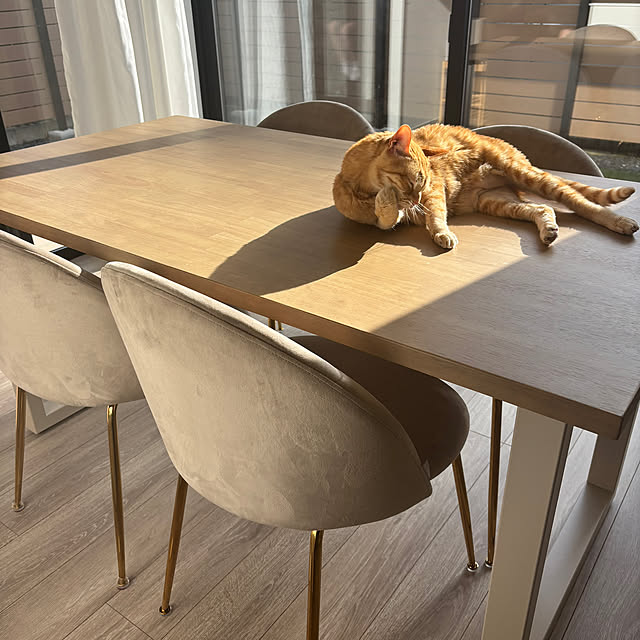 KANADEMONO “THE TABLE” ダイニングテーブル 120×80 KANADEMONO “THE