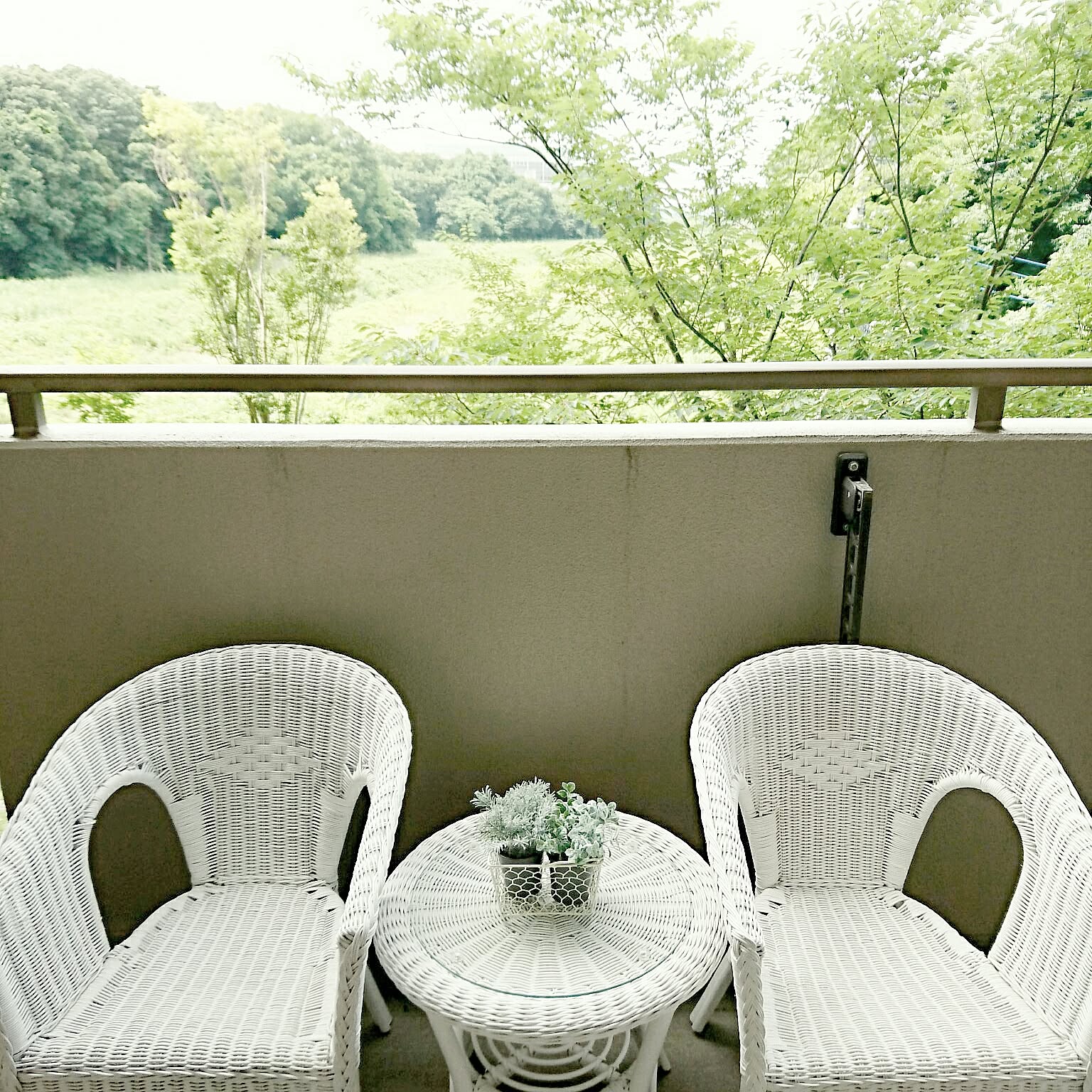 ニトリの籐・ラタンアイテムが好き！癒しの空間を独り占め | RoomClip