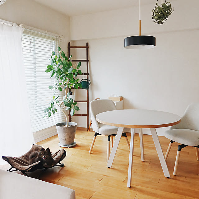 もう迷わない！素敵なお部屋をつくるダイニングテーブル5選