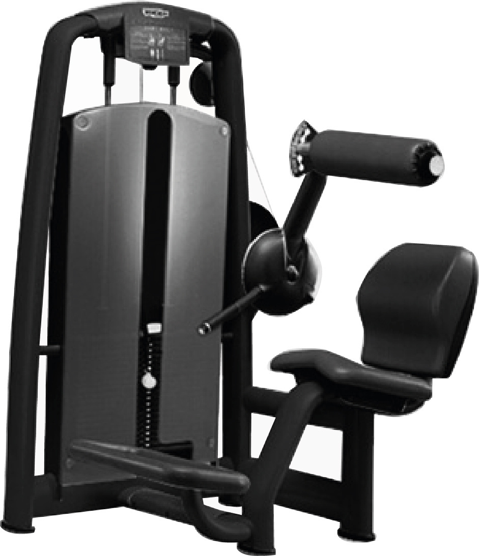 Technogym Selection Lower Back - Best Buy Fitness