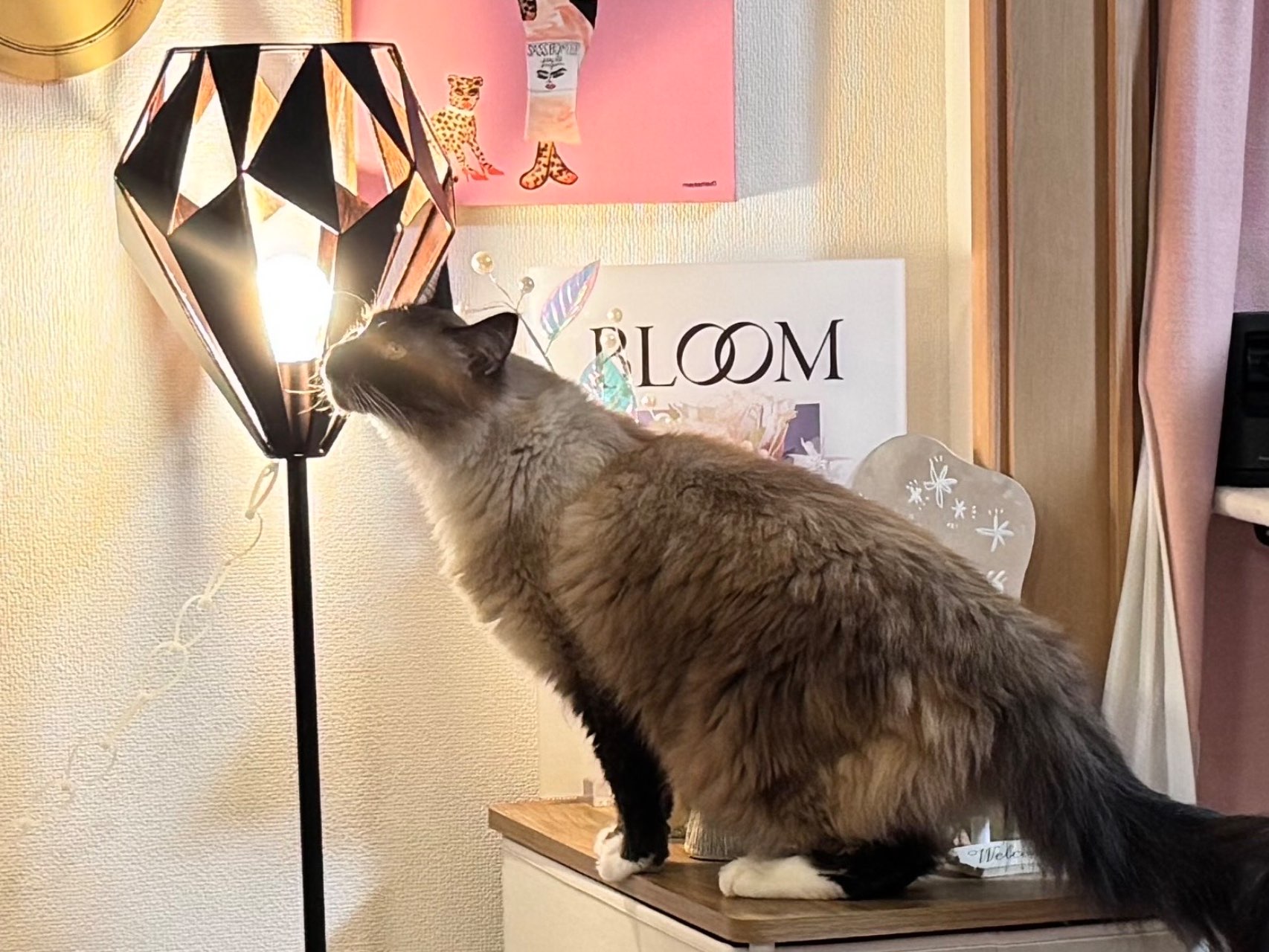 カールトン フロアランプ ブラック | Francfranc（フランフラン）公式