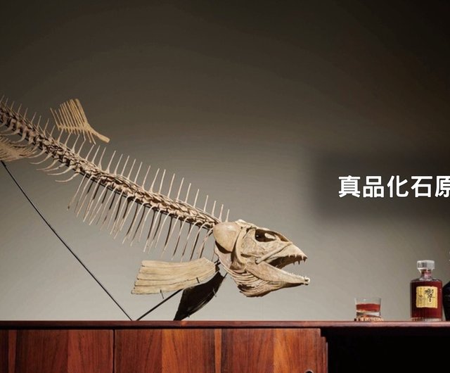 台湾 古生物学の 3D プリントモデル - スピアトゥース魚 (宅配便を選択