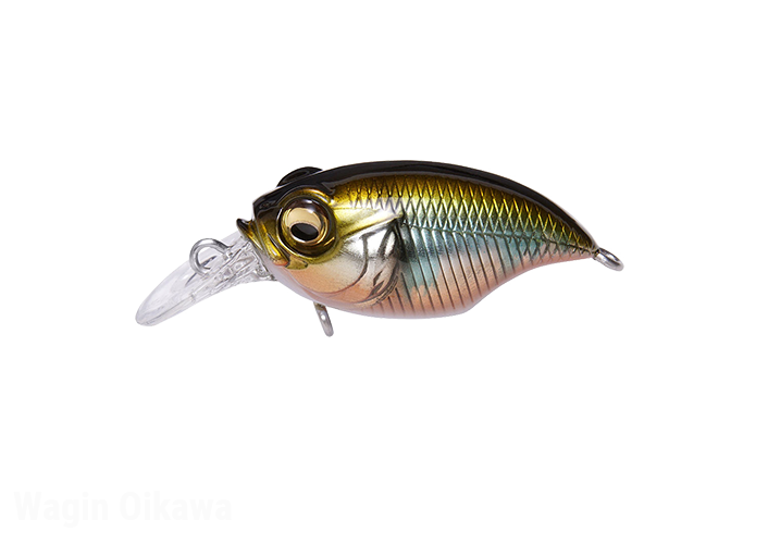 Megabass GRIFFON Bait Finesse SR-X NEW - KKJAPANLURE