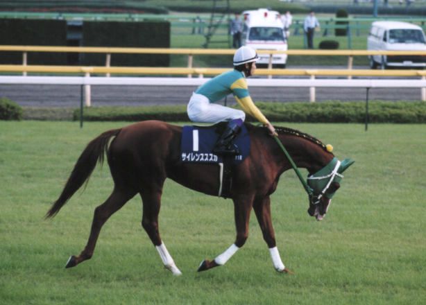 伝説の毎日王冠（1998）、今なお語り継がれる「至高の名勝負」 | 競馬