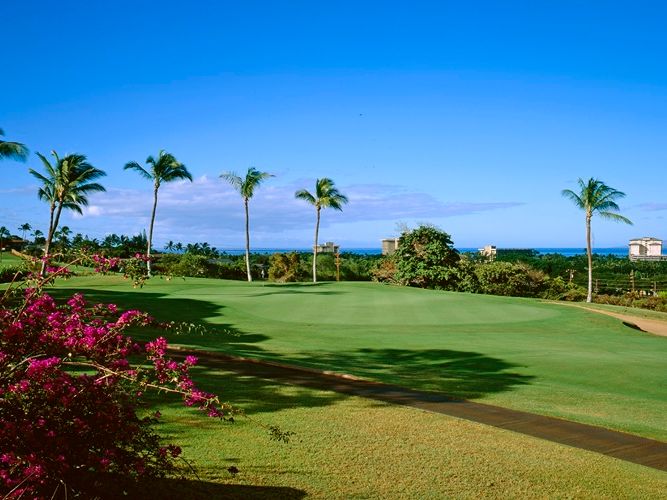 カアナパリ・ゴルフコース ゴルフ場予約 ＜初級～上級／選べる2コース