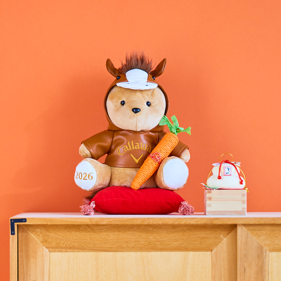 HC CG AM BEAR DR HORSE 26 JM CE