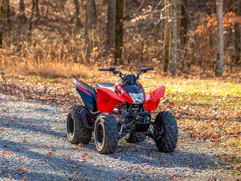 New 2024 Honda TRX250X ATVs in Erie, PA | Stock Number: