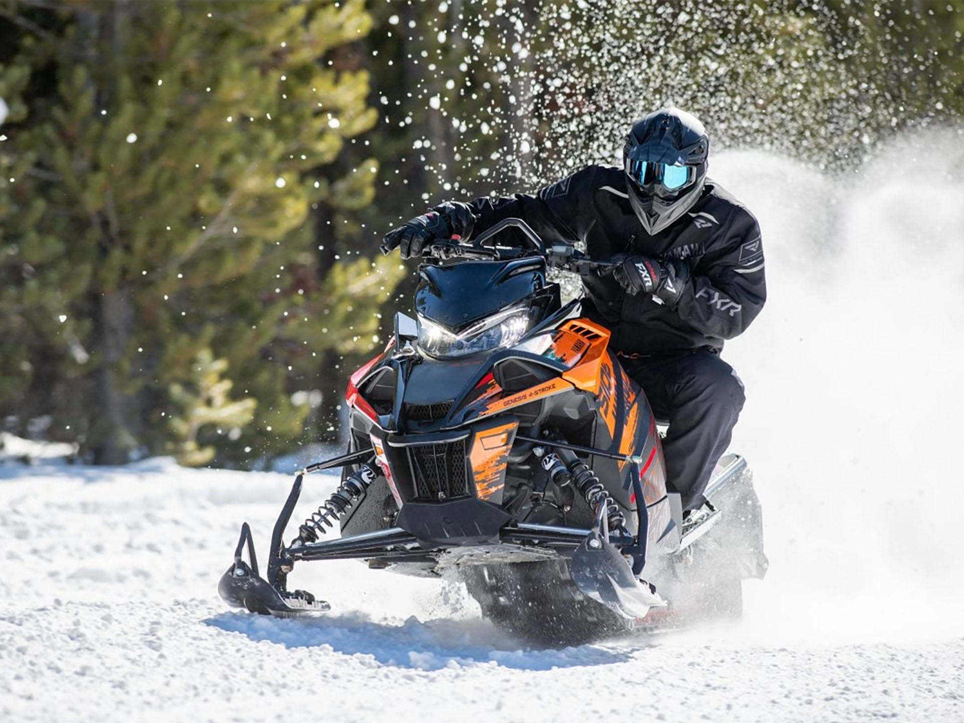 新品 phenix ESW250B60 WMS VARIET スキースノーボード スノーボード