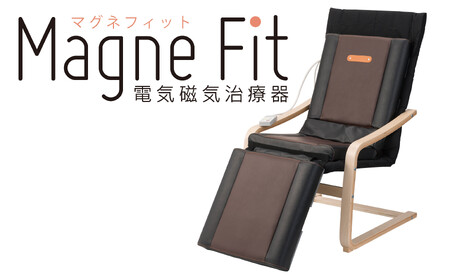 家庭用医療機器マグネフィット（電気磁気治療器） | 群馬県高崎市
