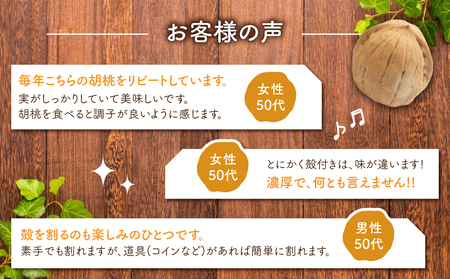 殻つきくるみ約1.4kg（2025年収穫分）胡桃 信濃くるみ ナッツ 国産